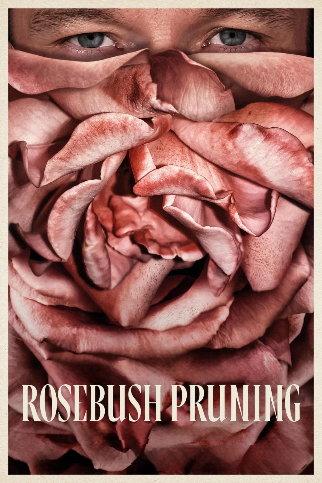 Rosebush Pruning